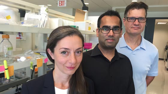 Dr. Gelareh Zadeh, Head of Surgical Oncology at UHN, along with Scientific Associate Dr. Sameer Agnihotri and Senior Scientist Dr. Ken Aldape, both of the MacFeeters-Hamilton Neuro-oncology Program
