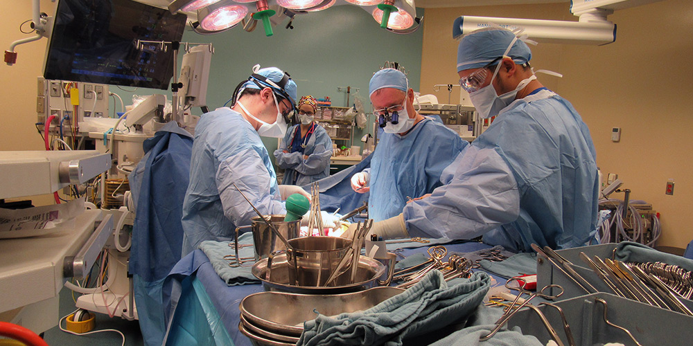 The surgical team performing the first-of-its-kind procedure. (Photo: University Health Network)