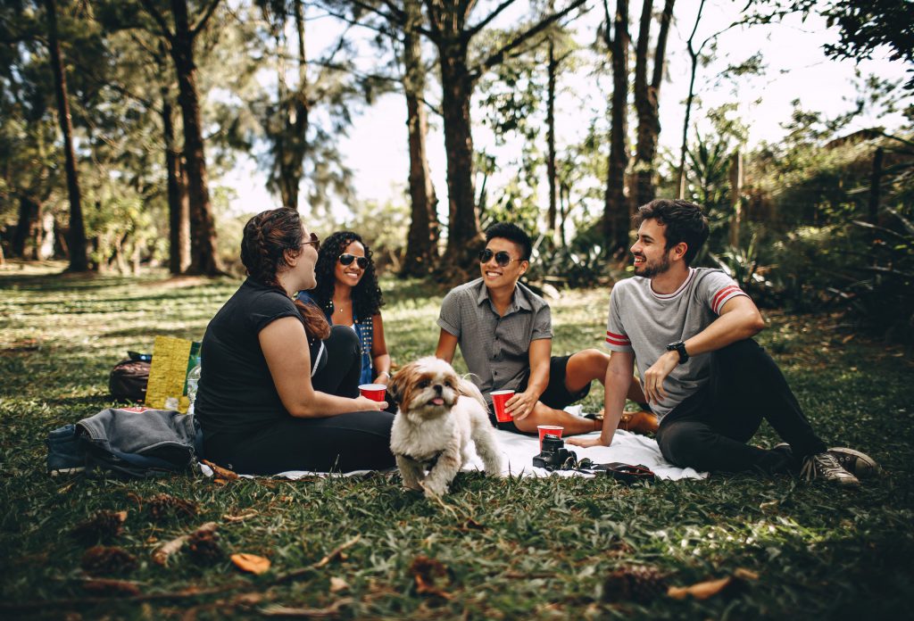 group of friends sitting in the park on a picnic blanket with a dog